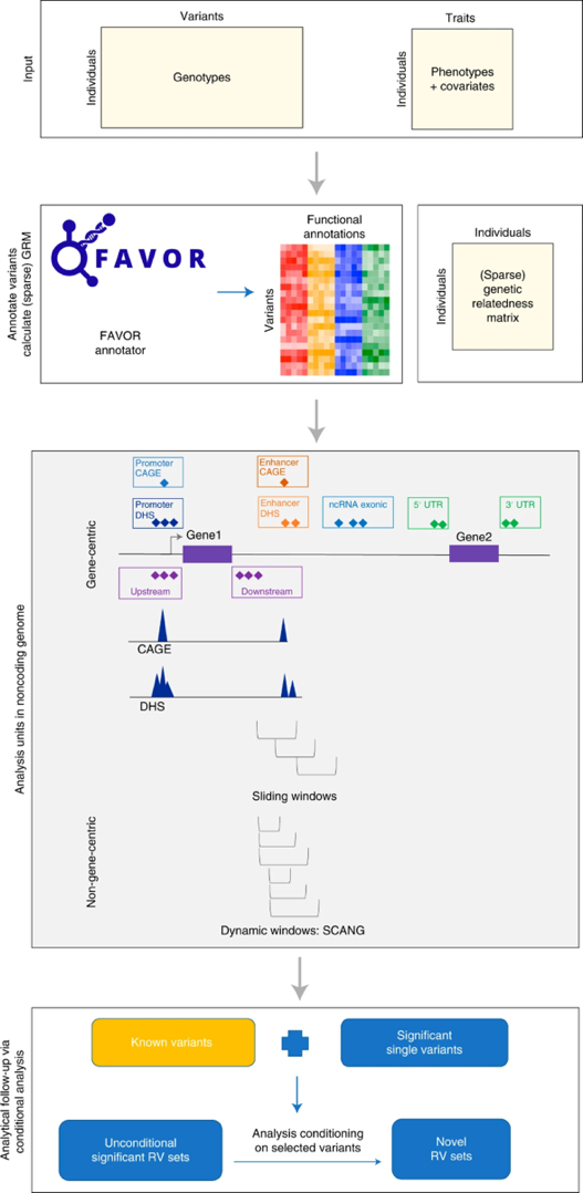 A diagram of a variety of colored squares

Description automatically generated with medium confidence